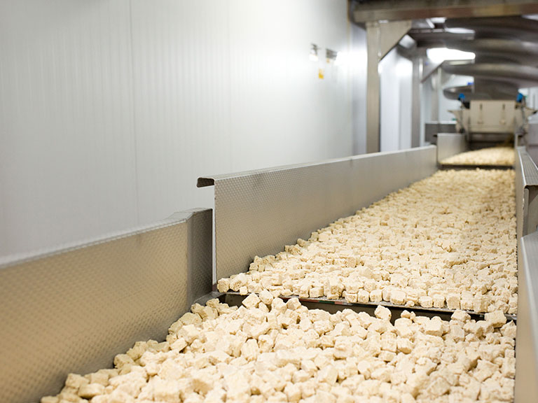 Freshly-made pieces of mycoprotein travel down the assembly line at the factory,